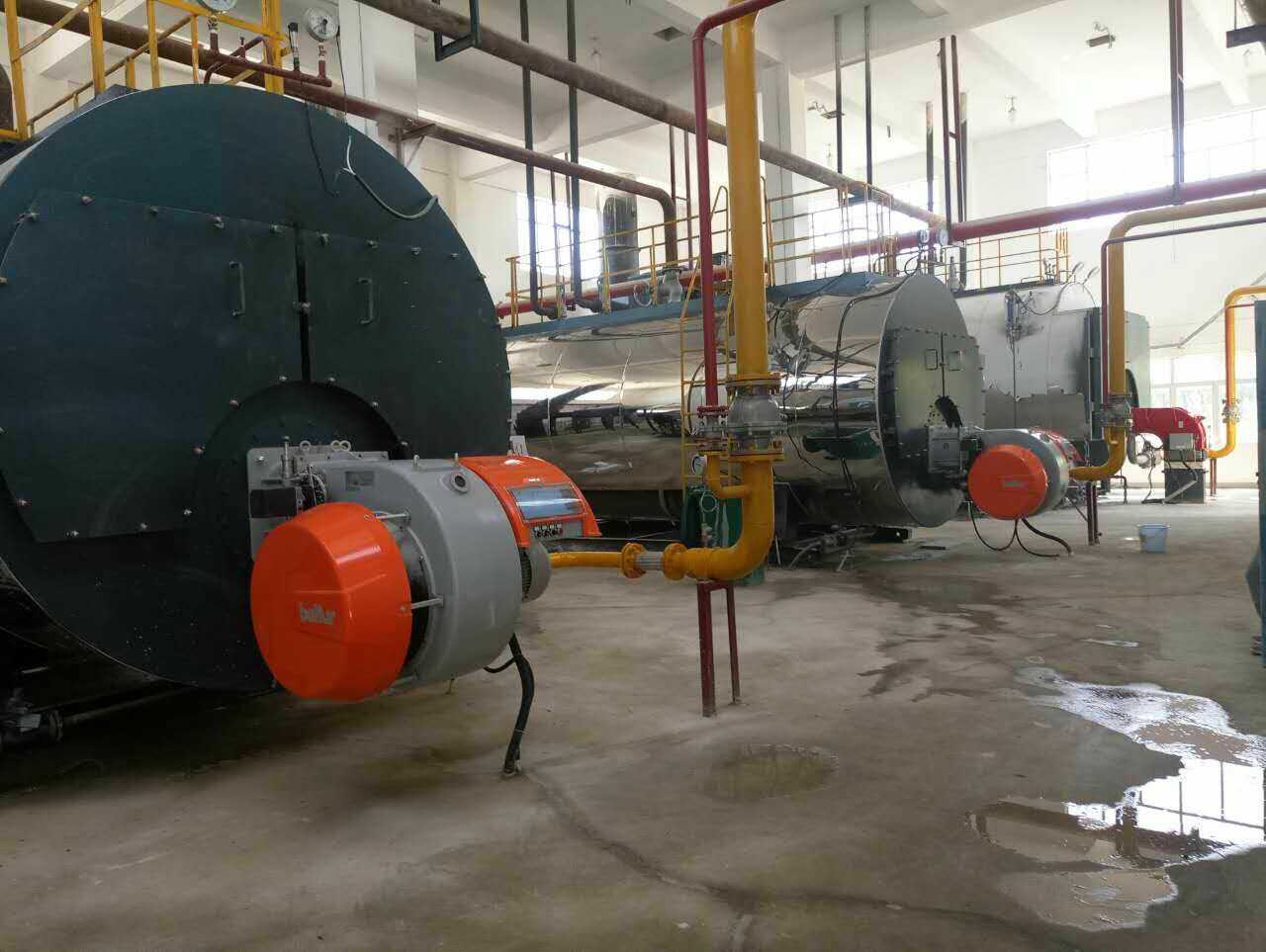 Ten ton/h gas fired steam boiler project of Mer group!