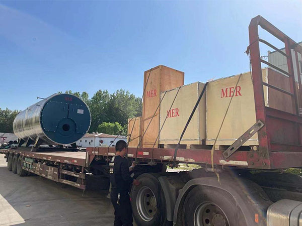 6 ton/h diesel -fired boilers to Indonesia